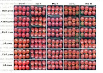 Innovative chitosan-onion polysaccharide composite films: A study on the preservation effects on cherry tomatoes