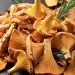 Favorable Rainfall Boosts Chanterelle Production Amidst Varied Market Demands