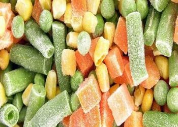 Rising Demand and Technological Advancements Drive Growth in IQF Vegetables Market