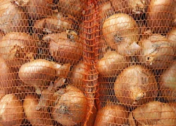 India’s Onion Export Trends and Market Dynamics Post-Ban Lift