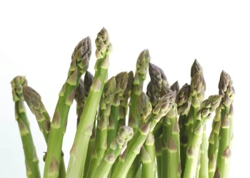 Asparagus Importers Gear Up for Peak Season: Insights from PAIA