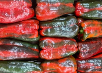 Italian Pepper Production Poised for Expansion Amidst Mixed Vegetable Market Trends