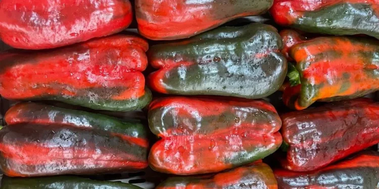 Italian Pepper Production Poised for Expansion Amidst Mixed Vegetable Market Trends