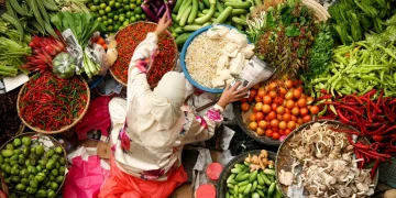Challenges Facing Malaysia’s Vegetable Farmers Amidst Unfavorable Weather Conditions