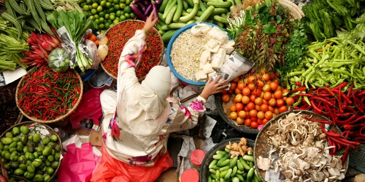 Challenges Facing Malaysia’s Vegetable Farmers Amidst Unfavorable Weather Conditions