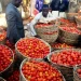 Challenges in Nigerian Tomato Production Lead to Price Surge