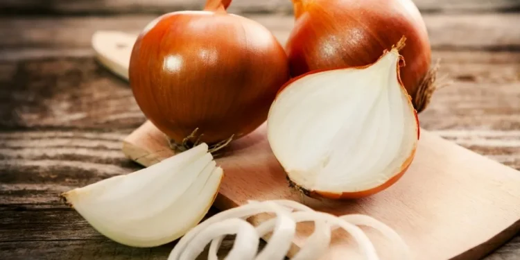 Resumption of Indian Onion Exports to Bangladesh: Implications for Farmers and Agribusiness