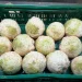 New Celeriac Crop Launched Amidst Tight Market Conditions