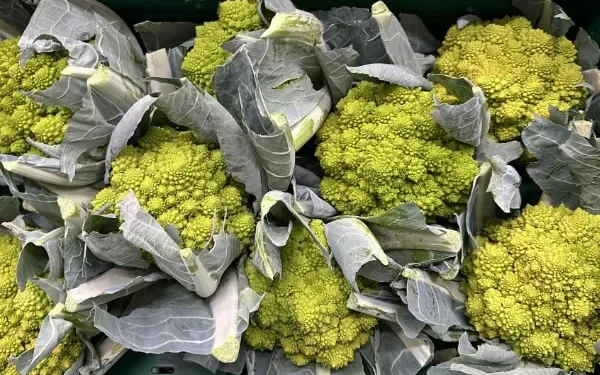Demand for Cauliflower and Broccoli On the Rise, While Romanesco Sales Lag