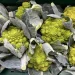 Demand for Cauliflower and Broccoli On the Rise, While Romanesco Sales Lag
