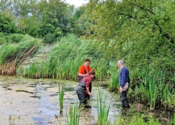 CABI’s work on weed biological control 