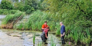 CABI’s work on weed biological control 