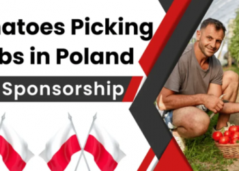 Tomato Picking Jobs in Poland with Visa Sponsorship: Opportunities for Agricultural Workers
