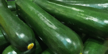 Almería’s Zucchini Market: Higher Volume, Lower Prices – What’s Next for Farmers?