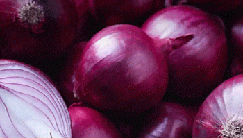 Balancing Onion Supply: BPI’s Plan to Protect Local Production Amid Importation