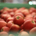 Severe Decline in Apple Harvest in Saxony-Anhalt: What’s Next for Farmers?