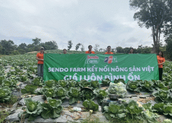 Livestreaming Agriculture: How Farmers in Sơn La Are Using Technology to Sell Crops Directly to Consumers