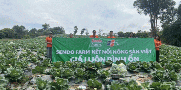 Livestreaming Agriculture: How Farmers in Sơn La Are Using Technology to Sell Crops Directly to Consumers