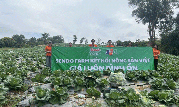 Livestreaming Agriculture: How Farmers in Sơn La Are Using Technology to Sell Crops Directly to Consumers