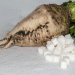 Sweet Success: Lipeck Sugar Factories Process Over 60,000 Tons of New Crop Sugar Beets