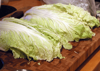 Ingushetia to Begin Large-Scale Open-Field Production of Chinese Cabbage