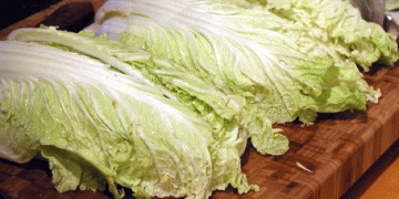 Ingushetia to Begin Large-Scale Open-Field Production of Chinese Cabbage