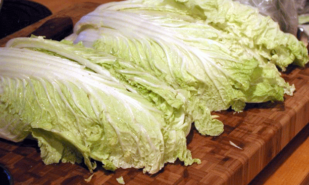 Ingushetia to Begin Large-Scale Open-Field Production of Chinese Cabbage