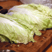Ingushetia to Begin Large-Scale Open-Field Production of Chinese Cabbage
