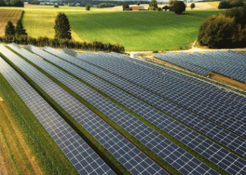 Solar Energy and Fruit Farming: Switzerland’s Pilot Project Combines PV Power and Agriculture