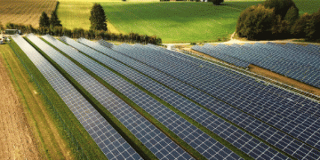 Solar Energy and Fruit Farming: Switzerland’s Pilot Project Combines PV Power and Agriculture