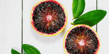 Mastering Citrus Quality: Insights from the DFHV Freshness Seminar