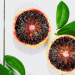 Mastering Citrus Quality: Insights from the DFHV Freshness Seminar