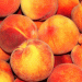 France Expects 4% Increase in Peach Production Amid Market Pressures