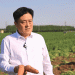 From Rice to Carrots: A Profitable Shift in Japanese Agriculture