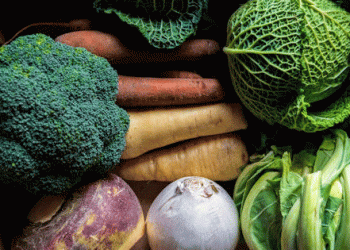 Andalusia Sets New Record in Agri-Food Exports: Germany Continues to Be the Key Market