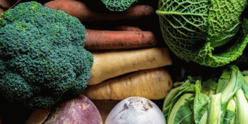 Andalusia Sets New Record in Agri-Food Exports: Germany Continues to Be the Key Market