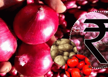 The Onion Price Dilemma: Will Buyers or Farmers Feel the Impact of Recent Government Decisions?