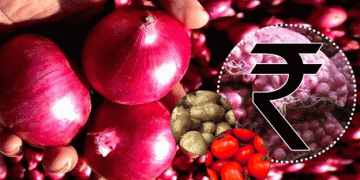 The Onion Price Dilemma: Will Buyers or Farmers Feel the Impact of Recent Government Decisions?