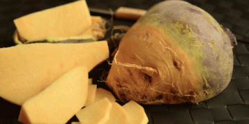 Swiss Bodenkohlrabi: From Wartime Lifesaver to Niche Crop