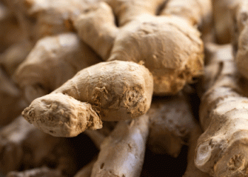 Peru’s Ginger and Turmeric Exports Plummet: What’s Behind the 44% Decline?