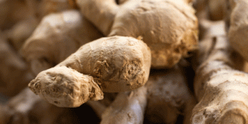 Peru’s Ginger and Turmeric Exports Plummet: What’s Behind the 44% Decline?