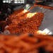 Carrot Production Boom in Konya: How Advanced Technology Has Boosted Yield by 500%