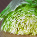 Swiss-Grown Chinese Cabbage: A Local Success Story in Sustainable Vegetable Production