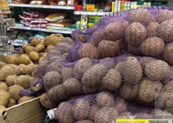 ime to Buy Your Borscht Ingredients: A Seasonal Price Drop