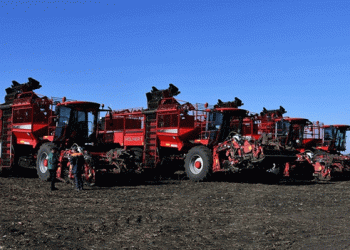 Harvesting Success: Rusagro-Invest Leads the Charge in Sugar Beet Harvest
