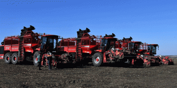 Harvesting Success: Rusagro-Invest Leads the Charge in Sugar Beet Harvest