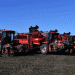 Harvesting Success: Rusagro-Invest Leads the Charge in Sugar Beet Harvest