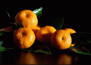 Peruvian Mandarin Exports Surge: A 2024 Growth Story of 81% in Volume and 86% in Value