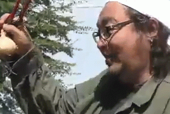 Kitami’s Hands-On Onion Harvest Experience: A Growing Tradition Rooted in Community