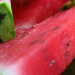 Germany’s Summer Watermelon Consumption Reaches Historic High: What It Means for the Market